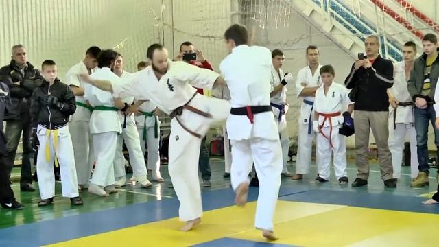 Відкритий кубок з Кіокусін кан карате до. Новомосковськ 2014 смотреть онлайн