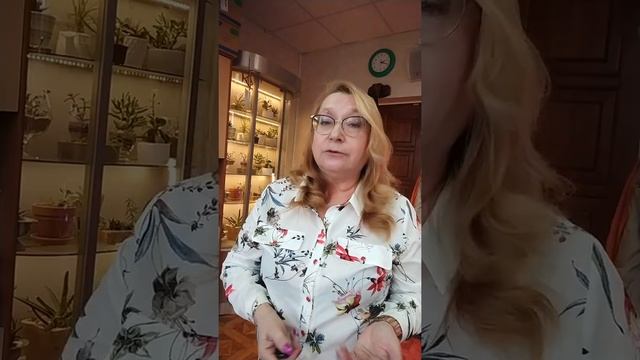 Цветочные решения для офиса и дома. Светолюбивые растения. Выбор, уход, композиции. смотреть онлайн