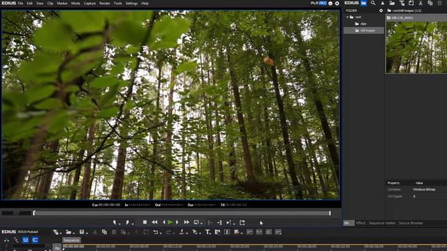 EDIUS.NET Podcast - still image/ freeze frame смотреть онлайн