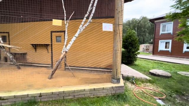 Парк отель Орловский обзор, территория, животные Макс Ветер смотреть онлайн