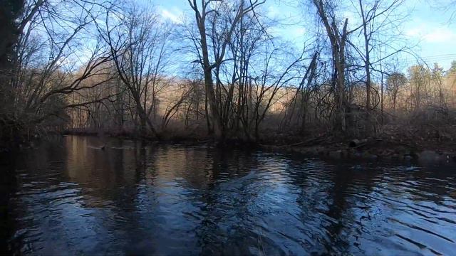 A Big Trout for Christmas - Fly Fishing 'The Shed' - Croton Watershed - December 2021 смотреть онлайн