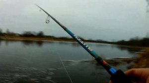 Рыбалка на реке Луга в Декабре.