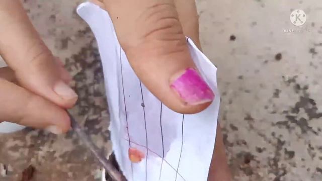 Grow Tomato from seeds in a egg shell||Sunshine Gardening смотреть онлайн