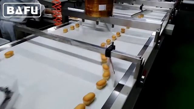 Встроенная автоматическая упаковочная машина, автоматическая упаковочная линия