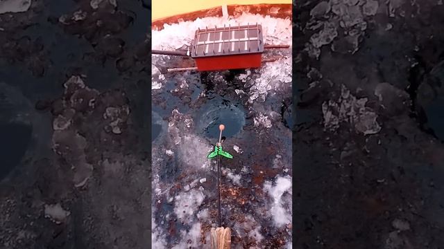 Обзор палатки Пингвин Мистер Фишер 170 смотреть онлайн