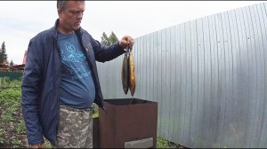 Засолка  рыбы для холодного копчения.