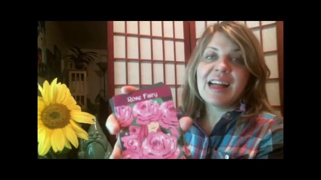 The Enchanted Fairy Heart Oracle deck has been officially released смотреть онлайн