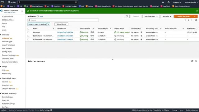 AWS Elastic Container Service (ECS) with ALB and dynamic port mapping смотреть онлайн