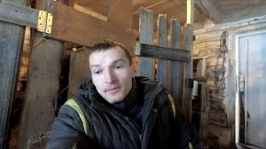 Куры и козы вместе. За и против.