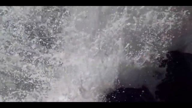 экология современности