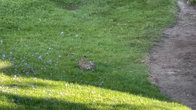 История Выходного Дня| Детский День Рождения| Друзья смотреть онлайн