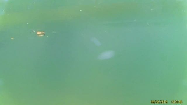 Jeep Cherokee, без него ни как. смотреть онлайн