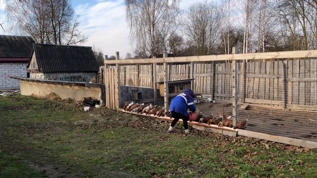 КОГДА КОЗЫ НАЧНУТ ПРИНОСИТЬ ДОХОД? НАКОНЕЦ-ТО ЖЕНА ДОИТ КОЗ?! ЖИЗНЬ В ДЕРЕВНЕ! БУДНИ ФЕРМЕРА! смотреть онлайн