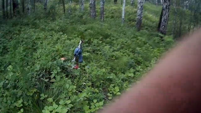 Всё что осталось от кладбища домашних животных под Ангарском смотреть онлайн