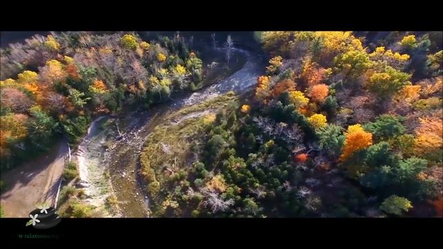 Лучшая романтическая инструментальная музыка. Instrumental Music Long Playlist. The Best Of Yakuro