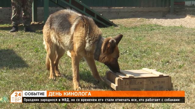 21 июня отмечают День кинолога смотреть онлайн