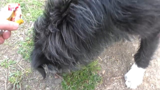 Старинная деревня. Заброшенные и жилые дома в деревне. Остатки заброшенного колхоза. Деревни России. смотреть онлайн