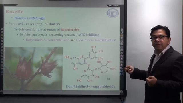 ANTHOCYANINS - PART-3 смотреть онлайн