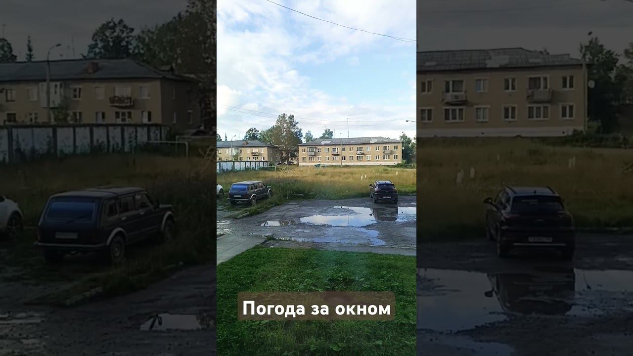 Ах погодка-Радовала бы...#погода #окно #обзор