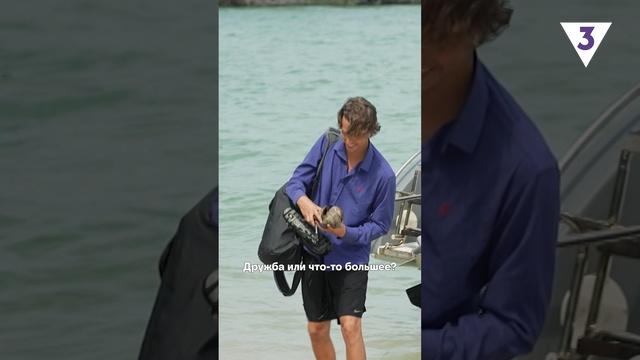 Даже необитаемый остров не помешал Злате Ковальчук подготовиться к приезду Леши Лукина ? смотреть онлайн