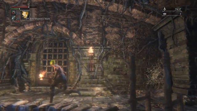 Ritual Blood (5) farm glyph (JGN2JKKW) in bonus room 1 Bloodborne. смотреть онлайн