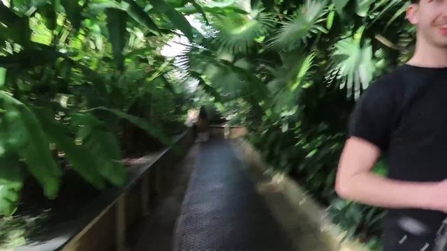 London guide: Kew Gardens (best botanical garden ever) ?? смотреть онлайн