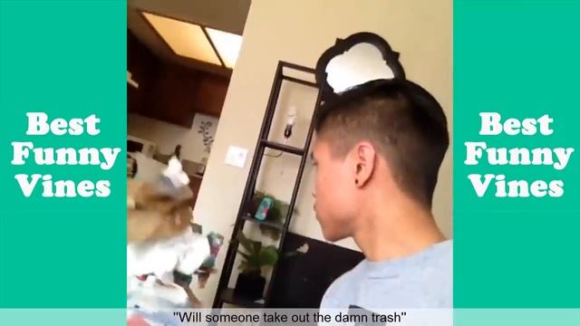 Top Dan Nampaikid vines Compilation (W/Titles) | Best Dan Nampaikid Vine - Best Funny Vines смотреть онлайн