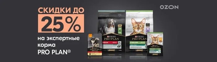 карточки +для озон дизайн#Видеографика#89025687333#видеообложки#инфографика#Дизайнкарточек#озон#вайл смотреть онлайн