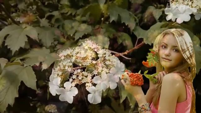 КУСТ РЯБИНЫ Ион Суручану смотреть онлайн
