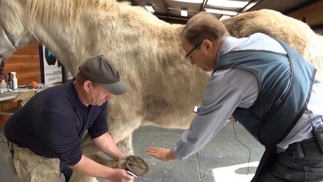 Using Metron Blocks for Radiographs, Using EponaCam, and FloorCam For Horse Hoof Records. смотреть онлайн