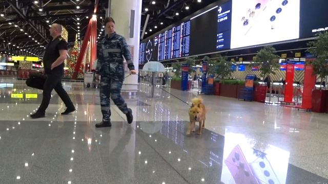 А поехали в Таиланд ! А точнее на Пхукет ! 2022 смотреть онлайн
