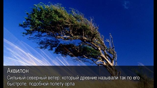 Аквилон. Толковый Видеословарь русского языка смотреть онлайн
