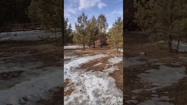 8 марта. Дорога с Новосибирска до базы "Алтай. Перезагрузка". село Элекмонар. Обзор краткий базы. смотреть онлайн