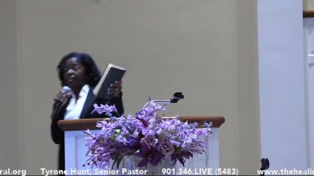 01 09 2022 Sonia Cleaves WHAT ARE WE LOOKING FOR? The Healing Cathedral смотреть онлайн