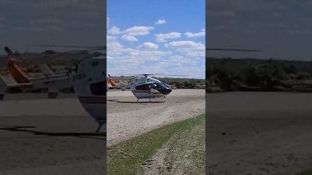 Рыбалка каратал смотреть онлайн