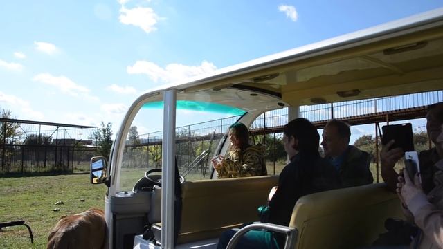 Монолог от львицы Лейлы ! смотреть онлайн