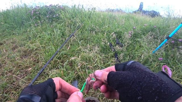 ??Ловля сома на медведку и выползка на реке / рыбалка на сома в июне смотреть онлайн