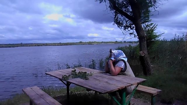 Гуси у бабуси... смотреть онлайн