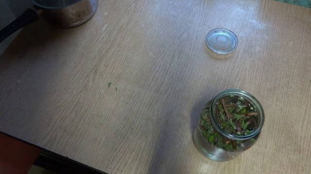 Весенний напиток из веточек смородины смотреть онлайн