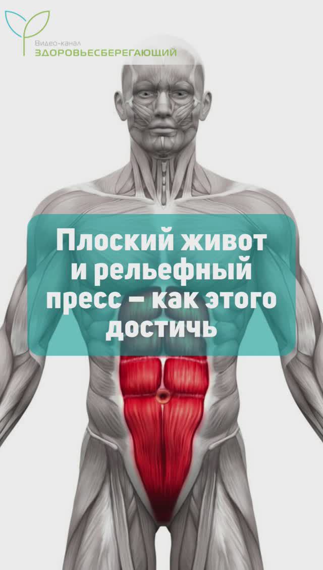 Как сделать живот плоским, с кубиками смотреть онлайн