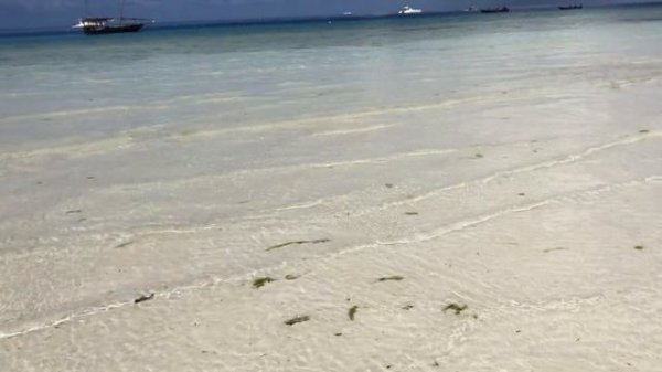 Занзибар. Завтрак в отеле Zanzibar Star 3*. Пляж  Нунгви.  Женская рыбалка. Встреча с гидом.