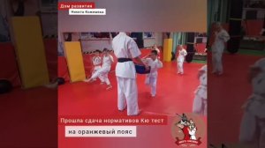 Киокушинкай карате Сдача нормативов на оранжевый пояс