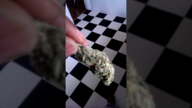 Blue Dream review . смотреть онлайн