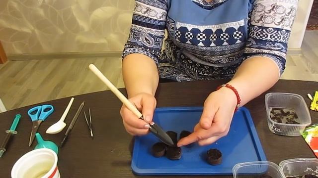 Начинаю посев гацании.22.02.2019 смотреть онлайн