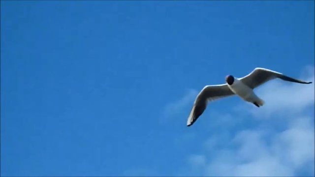 ИСТОРИЯ ЛЮБВИ.... смотреть онлайн