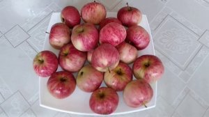 ☼Яблоня - Коричное полосатое.