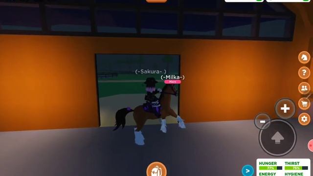 Roblox. Horse Valley, выездка, выступление смотреть онлайн