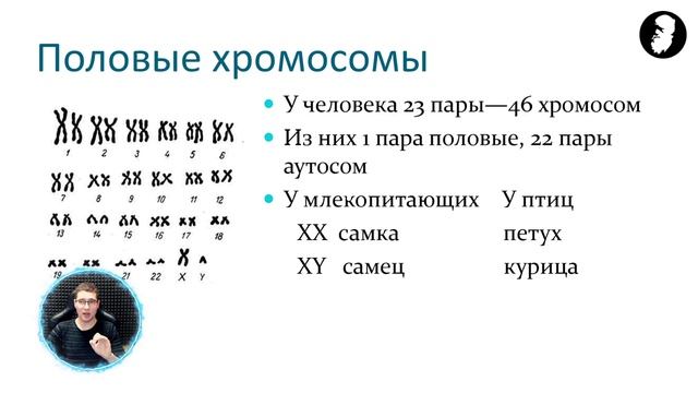 Биология: Набор хромосом, ДНК и комплиментарность. Все лайфхаки по 3 заданию смотреть онлайн