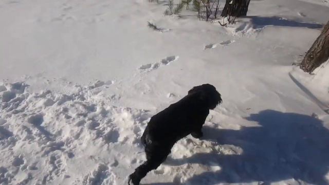 Уральские горки смотреть онлайн