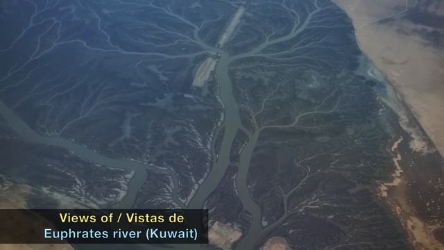 TRIP REPORT | Best Airport In The World! Stunning! | Doha To Vienna | QATAR AIRWAYS Boeing 787